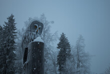 Great Grey Owl Wood