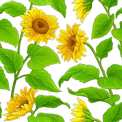 Canvas Print - sunflower vector pattern