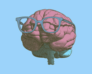 Wall Mural - Retro brain with glasses illustration on blue BG