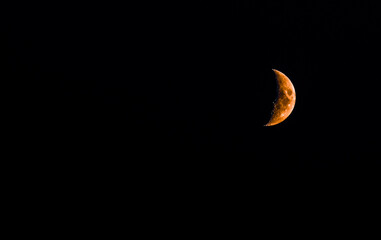 Wall Mural - Blood moon or hunters moon rising on a pitch black night sky.