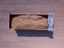 Trailer Loaded With Almonds In Shell Freshly Collected In An Agricultural Field. Aerial Image.