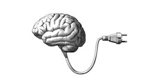 Brain With Electric Plug Vintage Drawing Illustration