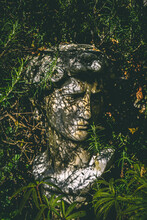Bust Of David In A Bush