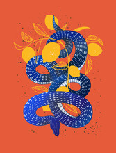 Serpent. Snake Hand Drawn Vector Illustration With Grunge Texture For Poster, T-shirt Print, Cover. 