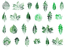 Set Of Leaves Imprints. Green Watercolor Seasonal Design.	
