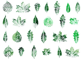 Set of leaves imprints. Green watercolor seasonal design.	
