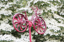 Vintage Red Bicycle Windmill In Front Of White Flowers On A Tree