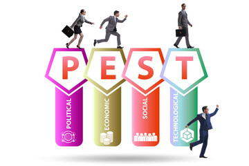 Wall Mural - Business people in PEST analysis business concept