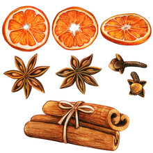 Watercolor High Quality Winter Spices And Orange Slices
