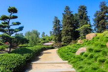 Beautiful Lush Green Trees Along A Dirt Walking Path With Blue Sky And A Gorgeous Green Landscape In A Japanese Garden