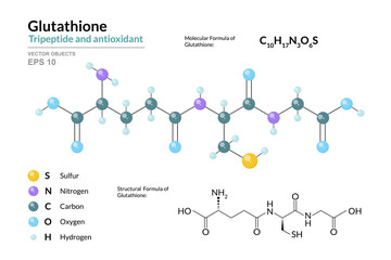 Poster - Glutathione. C10H17N3O6S. Tripeptide and Antioxidant. Structural Chemical Formula and Molecule 3d Model. Atoms with Color Coding. Vector Illustration