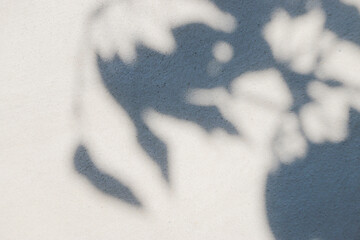 Wall Mural - abstract background texture of shadows leaf on a concrete wall