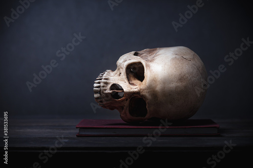 Fotomural Still life of human skull that died for a long times ,concept of horror or thril