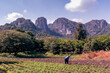 © Luis - Trabajo diario en el campo