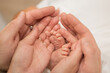 © aaalll3110 - Newborn Baby's feet. Mother and father holding newborn baby legs,legs massage