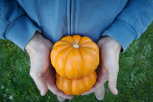 Top View On Man's Hands Holding Two Small Cute Beautiful Pumpkins. Halloween And Thanksgiving Concept. 