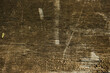 Wooden plank left outside heavy weathered silver grey brown tones - closeup overlay. Fence board, lumber, timber, rouh sawn, background, surface, barnwood