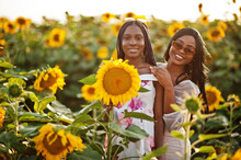Two Pretty Young Black Friends Woman Wear Summer Dress Pose In A Sunflower Field.