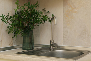 Wall Mural - Kitchen sink with faucet and vase with plant