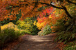 © Claudia - Lush, vibrant fall colors in Washington Park Arboretum in Seattle