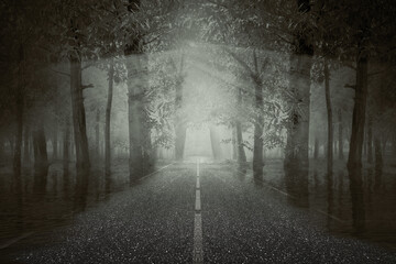 Canvas Print - Haunted street inside the forest with a dramatic scene background