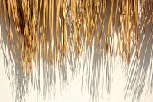 Dried Palm Leaves With Contrasting Shadows On White Background. Summer Bungalow Decor