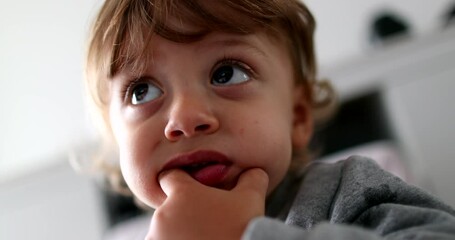 Wall Mural - Toddler boy face watching media cartoon. Adorable child baby with hand in mouth hypnotized by screen