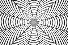 Black Spider Web On White Background - Vector Pattern