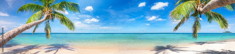 panorama of tropical beach with coconut palm trees - obrazy, fototapety, plakaty 