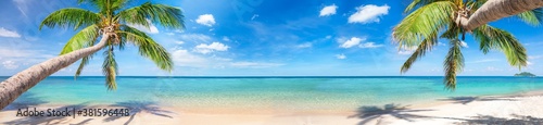 Fotografía panorama of tropical beach with coconut palm trees