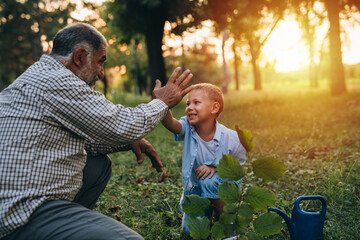 boy with his grandfather planting a tree in the city park