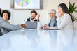 © Sanja - A group of business partners sit in a conference room and agree on new business details for their company