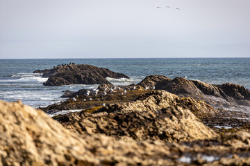 waves on the beach