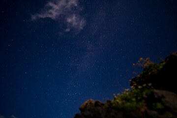 Canvas Print - starry night sky