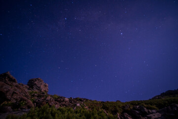 Canvas Print - starry night sky