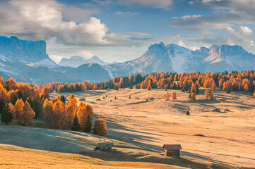 Wall Mural - autumn landscape with mountains