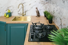 Contemporary Kitchen With Gold-colored Brass Sink And Gas Hob.?.