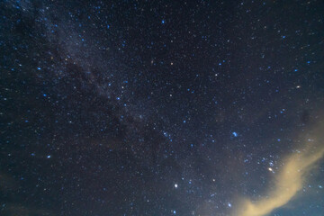 Canvas Print - starry night sky