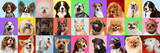 Fototapeta Psy - Stylish adorable dogs and cats posing. Cute pets happy. The different purebred puppies and cats. Art collage isolated on multicolored studio background. Front view, modern design. Flyer for your ad.