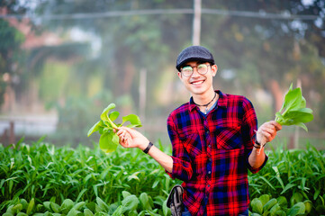 The young man and his salad garden And his happy smile