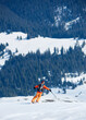 Back view of skier in bright clothing with backpack riding skis down snowy slope on background of green spruce trees and mountain clearings. Winter holidays, traveling and exploration concept.