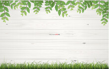 White Wood Texture Background With Framing Of Green Leaves. Vector.