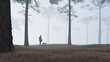 The man and dog into the misty forest