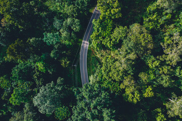 Forest, trees and green roads in the countryside from above.