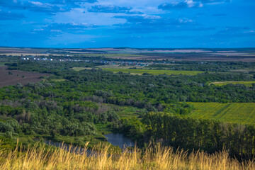 Wall Mural - view of the river in the forest