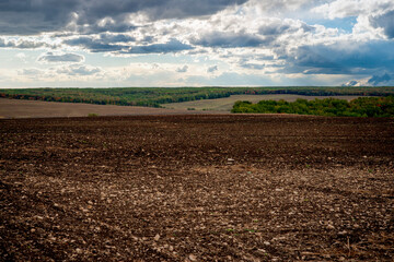 Wall Mural - plowed field in summer