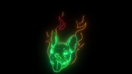 Wall Mural - carlino head Dog Flame video