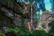 Tree Grows Among Large Geometric Stone Rocks Overgrown With Green Yellow Moss In Light Of Sun With Shadows, Big Cliffs In Forest. Krasnoyarsk Pillars, Nature Park In Siberia