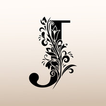 Elegant Simple Monogram, Letter J. Creative Logo. Line Art Design. Branch With Leaves. Vintage Emblem. Drawn Template For Book Design, Restaurant, Wedding, Boutique, Invitation. Vector Illustration
