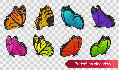 Wall Mural - Butterflies side view isolated on transparent background. Vector illustration